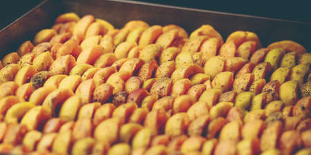 The process of home cooking dried fruits in an electric dryer. The stage of dehydration of fruits for storage and consumption in the winter. Lots of dehydrated apricots.の写真素材