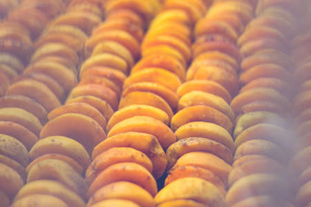 The process of home cooking dried fruits in an electric dryer. The stage of dehydration of fruits for storage and consumption in the winter. Lots of dehydrated apricots.の写真素材