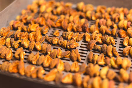 The process of home cooking dried fruits in an electric dryer. The stage of dehydration of fruits for storage and consumption in the winter. Lots of dehydrated apricots.の写真素材