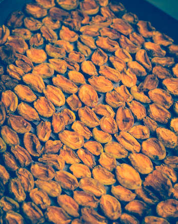 The process of home cooking dried fruits in an electric dryer. The stage of dehydration of fruits for storage and consumption in the winter. Lots of dehydrated apricots.の写真素材