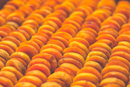The process of home cooking dried fruits in an electric dryer. The stage of dehydration of fruits for storage and consumption in the winter. Lots of dehydrated apricots.の写真素材