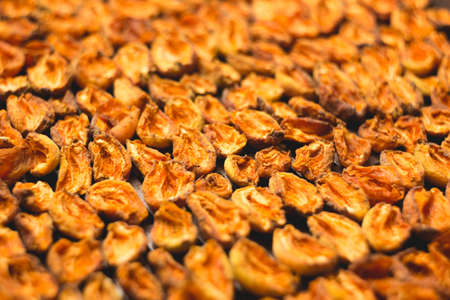 The process of home cooking dried fruits in an electric dryer. The stage of dehydration of fruits for storage and consumption in the winter. Lots of dehydrated apricots.の写真素材