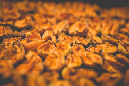 The process of home cooking dried fruits in an electric dryer. The stage of dehydration of fruits for storage and consumption in the winter. Lots of dehydrated apricots.の写真素材