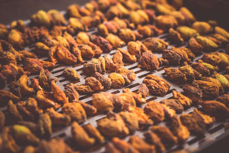 The process of home cooking dried fruits in an electric dryer. The stage of dehydration of fruits for storage and consumption in the winter. Lots of dehydrated apricots.の写真素材