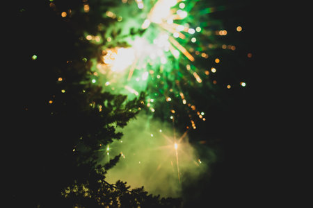 Fireworks in night sky with evergreen trees silhouetted in foreground.の写真素材
