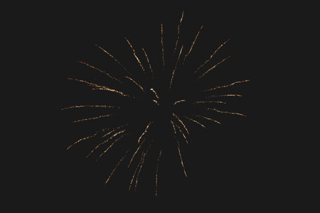 Fireworks in night sky with evergreen trees silhouetted in foreground.