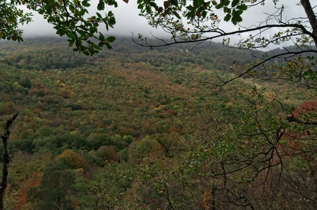 Panorama of the hill in the fallの写真素材