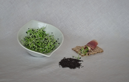 Healthy food The raw onion sprouts with ham. The young seedlings are a good source of health benefits.の写真素材