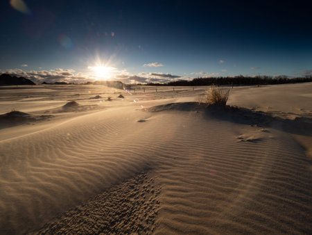 Moving dunes near Debki, at the shore of Baltic Sea. Landscape view just after the sunrise. Visible flairs.の写真素材