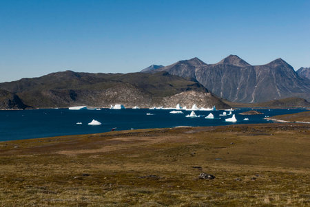 Floating icebergs in bay. In the distant mountains are visible. Blue sky. Greenland.