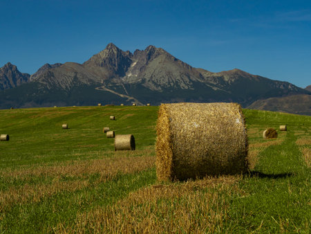 Beautiful summer panorama over Spisz highland with sheaves of hay to Tatra mountains, Polandの写真素材