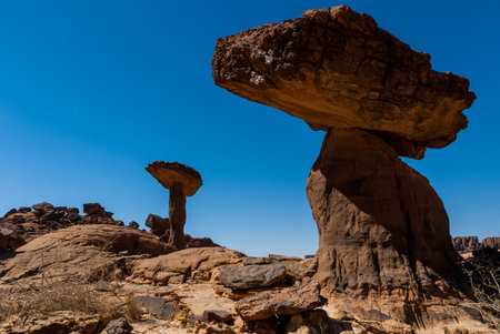 Sandstone towers in form of mushroom in the Ennedi desert of Chad, Africa