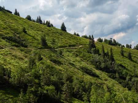 People on the mountain trail, Karkonosze National Park Karpacz / Polandの写真素材