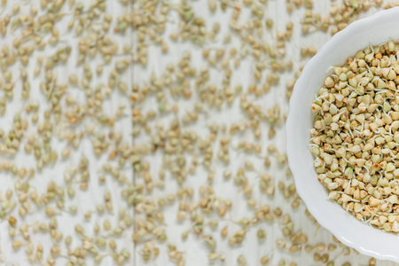 Green buckwheat sprouts. Light backgroundの写真素材