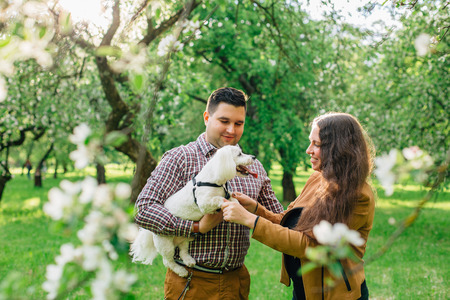 Young stylish happy couple in love playing with little white dog in blooming garden. Pretty girl and man having fun with maltese in parkの写真素材