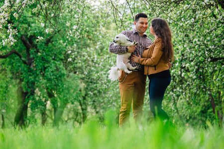 Young stylish happy couple in love playing with little white dog in blooming garden. Pretty girl and man having fun with maltese in parkの写真素材