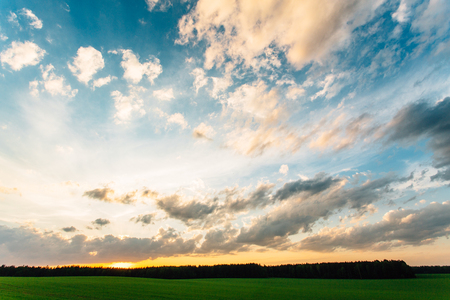 Sunny dawn in a field. Beutiful landscape. Gorgeous sunsetの写真素材