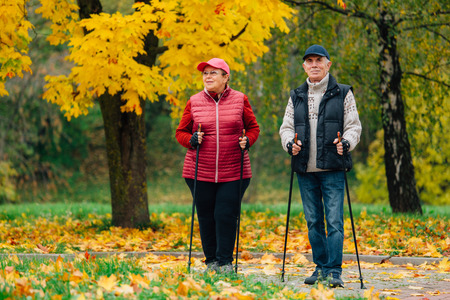 Pretty senior couple standing with nordic walking poles in colorful autumn park. Mature woman and old man resting outdoors.の写真素材