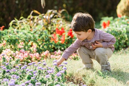 Cute little boy having fun in summer park. Happy child outdoorsの写真素材