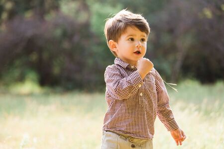 Cute little boy having fun in summer park. Happy child outdoorsの写真素材