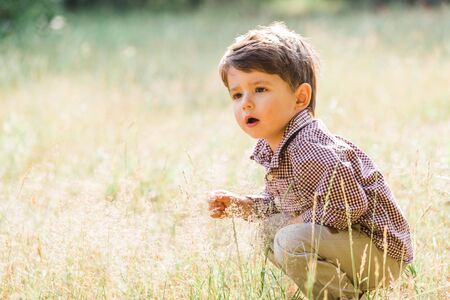 Cute little boy having fun in summer park. Happy child outdoorsの写真素材