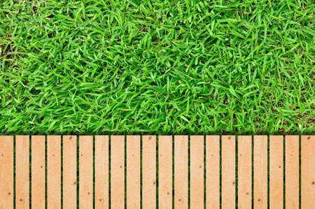 Green grass with grunge wood backgroundの写真素材