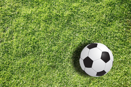 Soccer ball on green fieldの写真素材