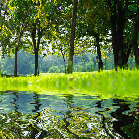 Beauty Peace Natureの写真素材