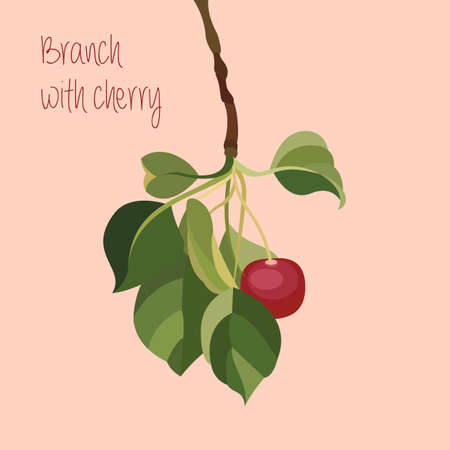 Flat Illustration of a Branch with Cherry.のイラスト素材