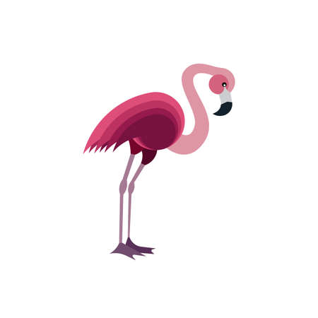 Flat Illustration of a Pink Flamingoのイラスト素材