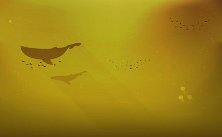 Whale illustrationのイラスト素材