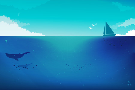 Whale illustrationのイラスト素材