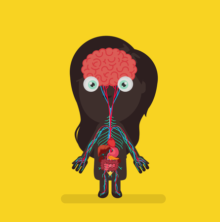 Human body anatomy vector illustrationのイラスト素材