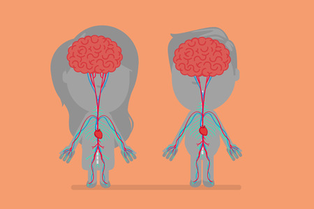 Human body anatomy vector illustrationのイラスト素材