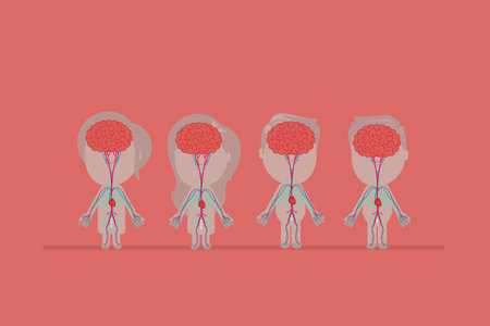 Human body anatomy vector illustrationのイラスト素材