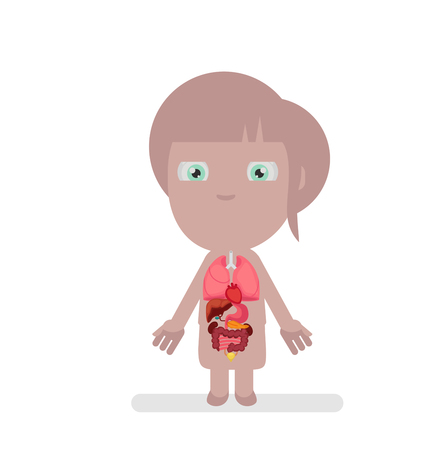 Human body anatomy vector illustrationのイラスト素材