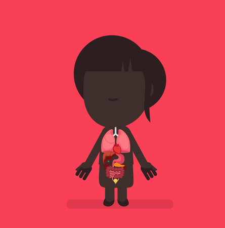 Human body anatomy vector illustrationのイラスト素材
