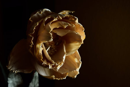 Paper flower ornament in a house