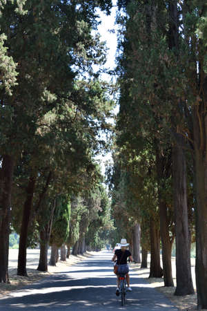 Path in Romeの写真素材