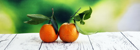 Tangerines with leaves on wooden background. Mandarins Rustic style.の写真素材