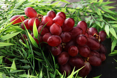 Bunches of fresh ripe red grapes on a wooden textural surface. Ancient style, a beautiful background with a branch of blue grapes. の写真素材