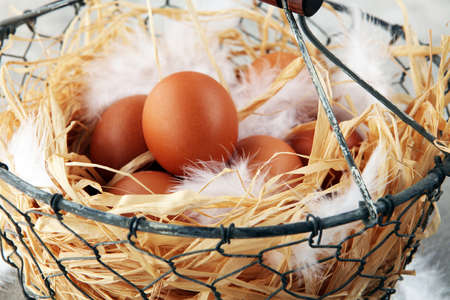 Egg. Fresh farm eggs on a wooden rustic backgroundの写真素材