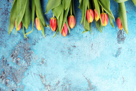 Festive setting for Easter with beautiful tulips on blue backgroundの写真素材