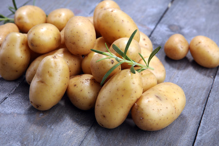 Pile of potatoes lying on wooden boards. Fresh potatoの写真素材