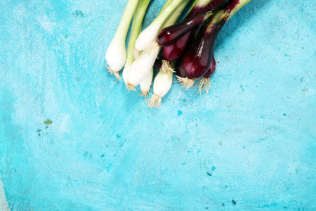 bunch of red and white spring onions. fresh vegetableの写真素材