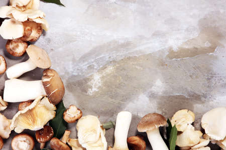 variety of raw mushrooms on grey table. oyster and other fresh mushrooms.の写真素材