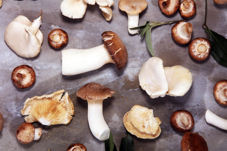 variety of raw mushrooms on grey table. oyster and other fresh mushrooms.の写真素材