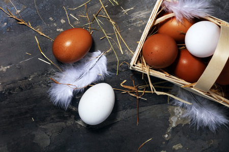 Egg. Fresh farm eggs on a rustic background.の写真素材