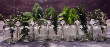 bunch of garden fresh herbs on grey board. organic natural herb.の写真素材