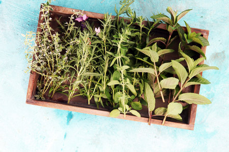 bunch of garden fresh herbs. organic natural herb.